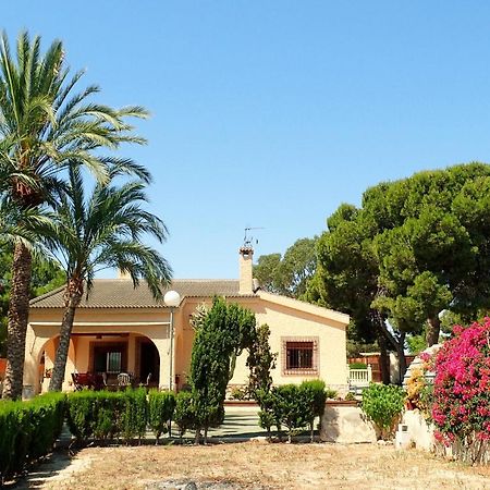 Villa Buganvilla Ельче Екстер'єр фото